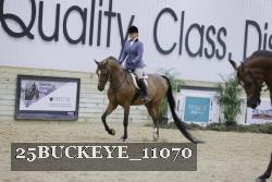 25BUCKEYE_11070 thumbnail