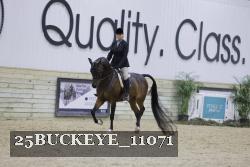 25BUCKEYE_11071 thumbnail