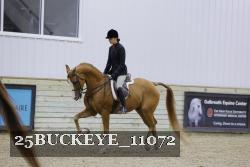 25BUCKEYE_11072 thumbnail