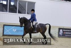 25BUCKEYE_11074 thumbnail