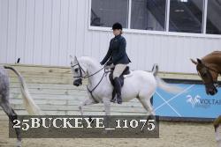 25BUCKEYE_11075 thumbnail