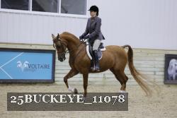 25BUCKEYE_11078 thumbnail
