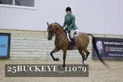 25BUCKEYE_11079 thumbnail