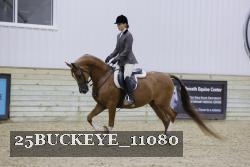 25BUCKEYE_11080 thumbnail