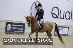 25BUCKEYE_11082 thumbnail