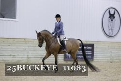 25BUCKEYE_11083 thumbnail