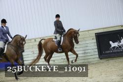 25BUCKEYE_11091 thumbnail