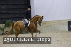 25BUCKEYE_11092 thumbnail
