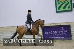 25BUCKEYE_11095 thumbnail