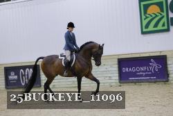 25BUCKEYE_11096 thumbnail