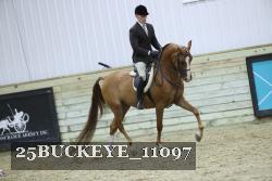 25BUCKEYE_11097 thumbnail