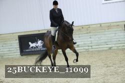 25BUCKEYE_11099 thumbnail