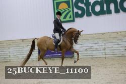 25BUCKEYE_11100 thumbnail