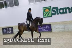 25BUCKEYE_11101 thumbnail