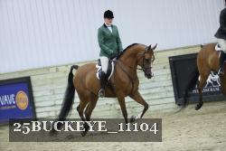 25BUCKEYE_11104 thumbnail