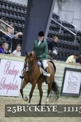 25BUCKEYE_11115 thumbnail