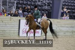 25BUCKEYE_11119 thumbnail