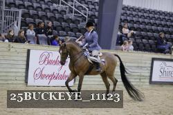 25BUCKEYE_11123 thumbnail