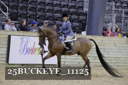 25BUCKEYE_11125 thumbnail