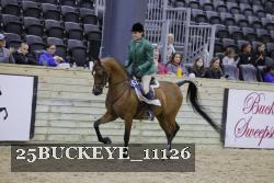 25BUCKEYE_11126 thumbnail