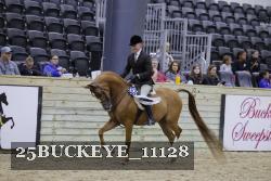 25BUCKEYE_11128 thumbnail