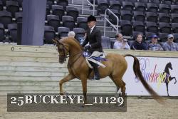 25BUCKEYE_11129 thumbnail