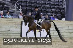 25BUCKEYE_11132 thumbnail