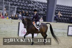 25BUCKEYE_11134 thumbnail
