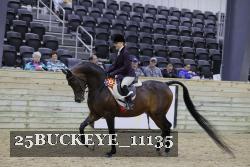 25BUCKEYE_11135 thumbnail