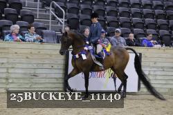 25BUCKEYE_11140 thumbnail