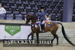 25BUCKEYE_11141 thumbnail