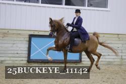 25BUCKEYE_11142 thumbnail