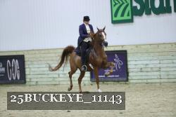 25BUCKEYE_11143 thumbnail