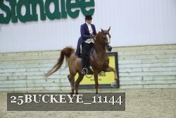 25BUCKEYE_11144 thumbnail