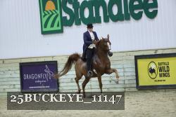 25BUCKEYE_11147 thumbnail