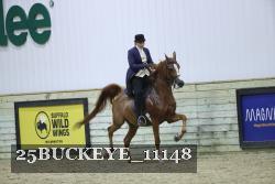 25BUCKEYE_11148 thumbnail