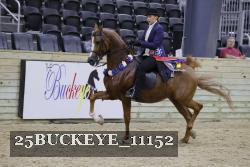 25BUCKEYE_11152 thumbnail