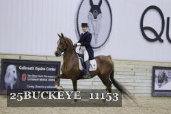 25BUCKEYE_11153 thumbnail