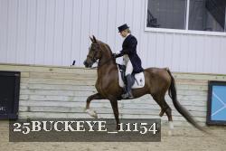 25BUCKEYE_11154 thumbnail
