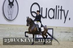 25BUCKEYE_11155 thumbnail