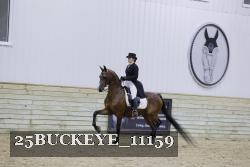 25BUCKEYE_11159 thumbnail