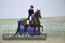 25BUCKEYE_11165 thumbnail