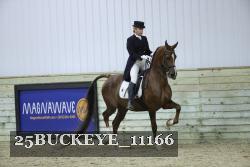 25BUCKEYE_11166 thumbnail