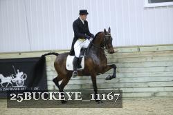 25BUCKEYE_11167 thumbnail