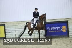 25BUCKEYE_11168 thumbnail