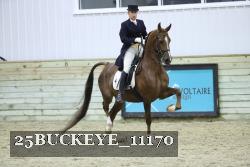 25BUCKEYE_11170 thumbnail