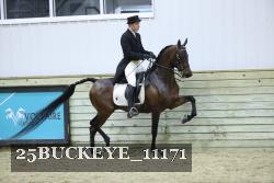 25BUCKEYE_11171 thumbnail