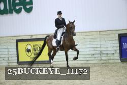 25BUCKEYE_11172 thumbnail
