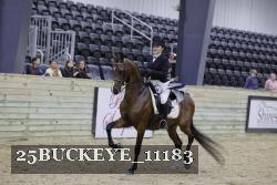 25BUCKEYE_11183 thumbnail