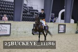25BUCKEYE_11186 thumbnail
